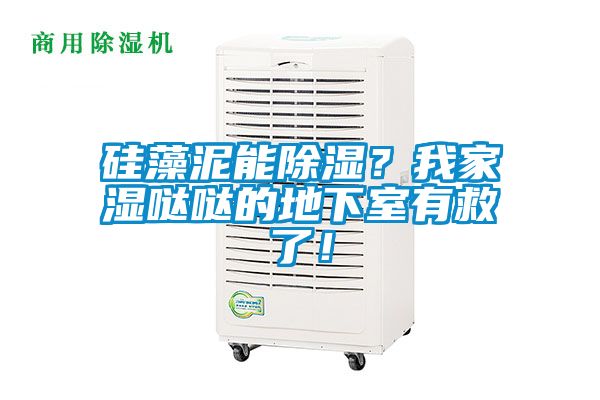 硅藻泥能除濕？我家濕噠噠的地下室有救了！