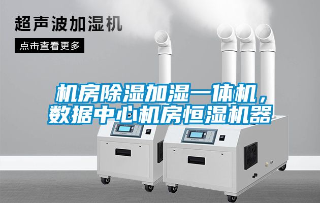 機(jī)房除濕加濕一體機(jī)，數(shù)據(jù)中心機(jī)房恒濕機(jī)器