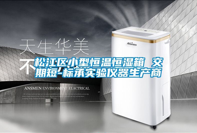 松江區小型恒溫恒濕箱 交期短-標承實驗儀器生產商