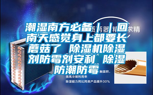 潮濕南方必備｜｜回南天感覺身上都要長蘑菇了 除濕機除濕劑防霉劑安利 除濕防潮防霉