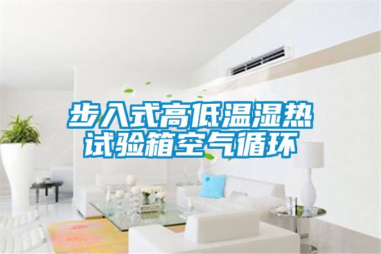 步入式高低溫濕熱試驗(yàn)箱空氣循環(huán)