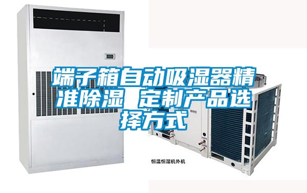 端子箱自動吸濕器精準除濕 定制產(chǎn)品選擇方式