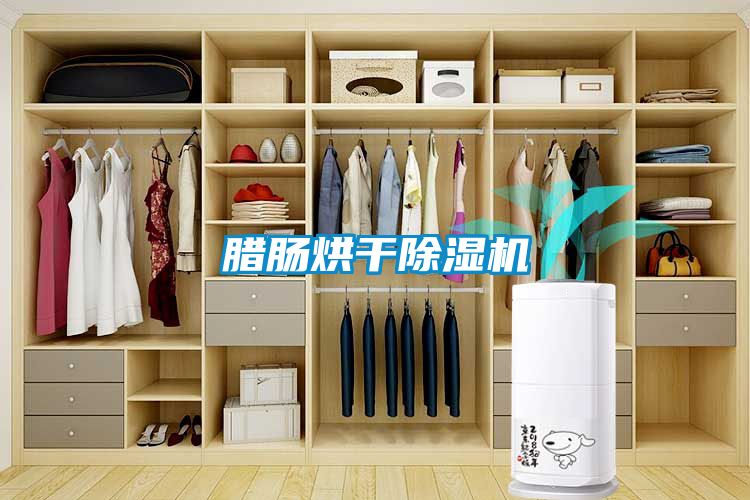 臘腸烘干除濕機(jī)