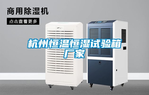 杭州恒溫恒濕試驗(yàn)箱廠家