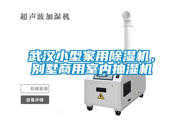 武漢小型家用除濕機，別墅商用室內抽濕機