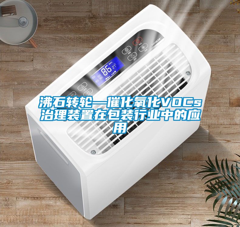 沸石轉(zhuǎn)輪—催化氧化VOCs治理裝置在包裝行業(yè)中的應(yīng)用