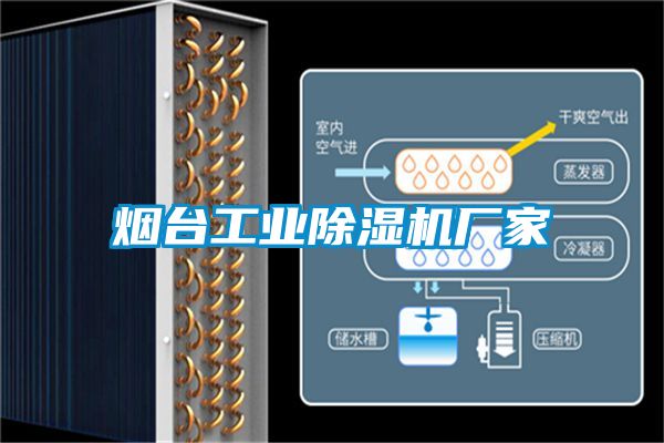 煙臺工業(yè)除濕機廠家