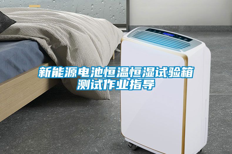 新能源電池恒溫恒濕試驗箱測試作業指導