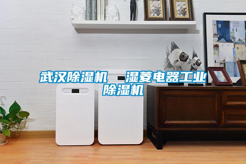 武漢除濕機(jī)  濕菱電器工業(yè)除濕機(jī)