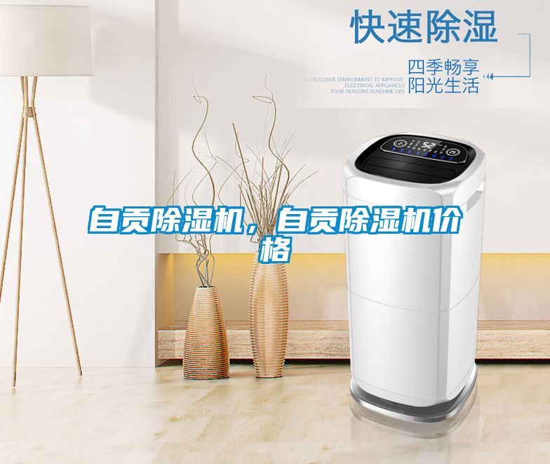 自貢除濕機(jī)，自貢除濕機(jī)價(jià)格