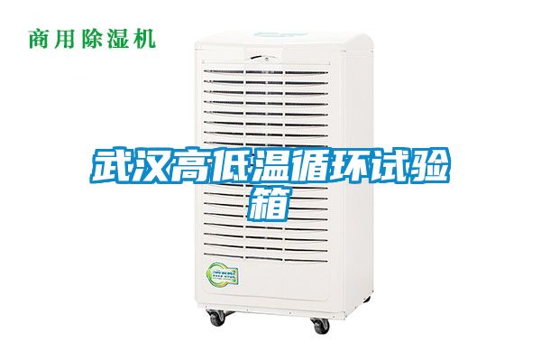 武漢高低溫循環試驗箱