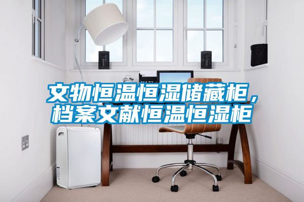 文物恒溫恒濕儲藏柜，檔案文獻(xiàn)恒溫恒濕柜