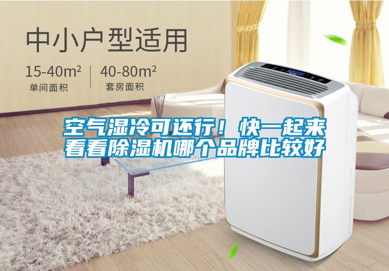 空氣濕冷可還行！快一起來看看除濕機哪個品牌比較好