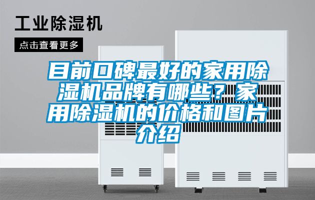 目前口碑最好的家用除濕機品牌有哪些？家用除濕機的價格和圖片介紹