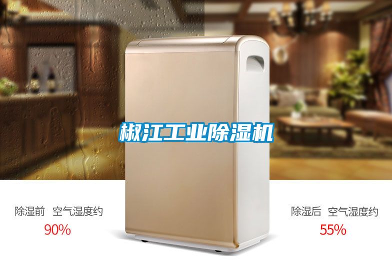 椒江工業除濕機