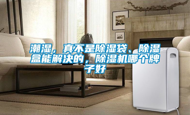 潮濕，真不是除濕袋、除濕盒能解決的，除濕機哪個牌子好