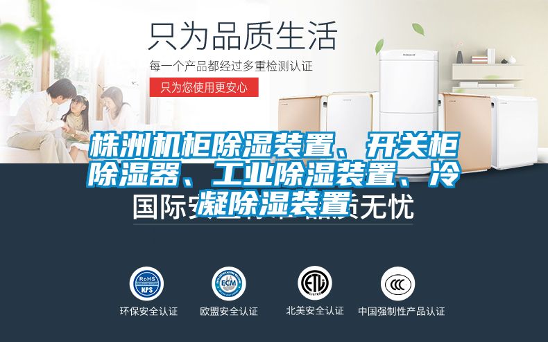 株洲機柜除濕裝置、開關柜除濕器、工業除濕裝置、冷凝除濕裝置