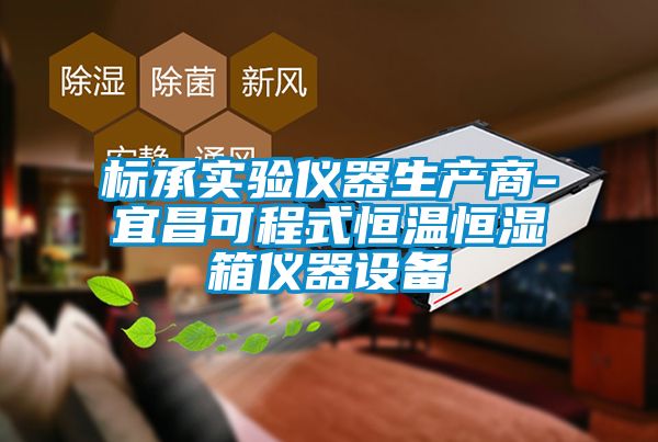 標承實驗儀器生產商-宜昌可程式恒溫恒濕箱儀器設備