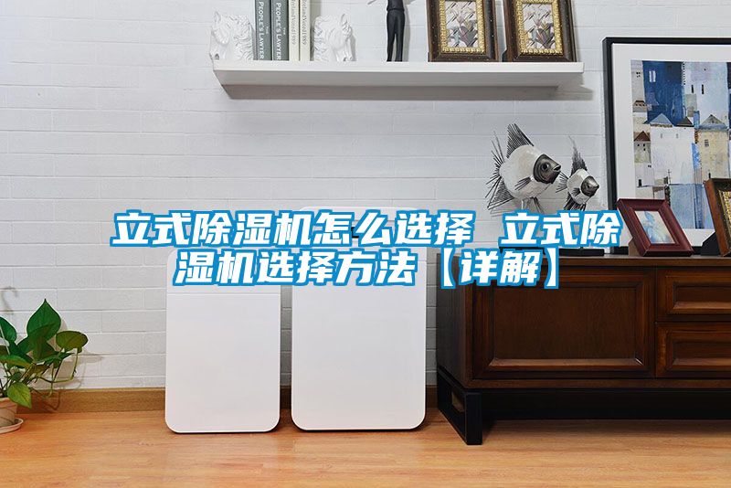 立式除濕機(jī)怎么選擇 立式除濕機(jī)選擇方法【詳解】
