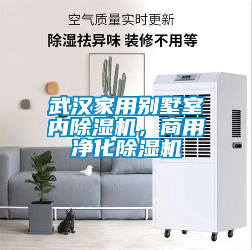 武漢家用別墅室內除濕機，商用凈化除濕機