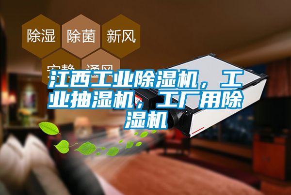 江西工業(yè)除濕機(jī)，工業(yè)抽濕機(jī)，工廠用除濕機(jī)