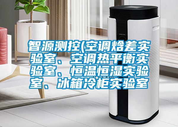 智源測控(空調(diào)焓差實驗室、空調(diào)熱平衡實驗室、恒溫恒濕實驗室、冰箱冷柜實驗室