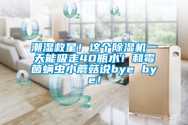 潮濕救星！這個除濕機一天能吸走40瓶水！和霉菌螨蟲小蘑菇說bye bye！