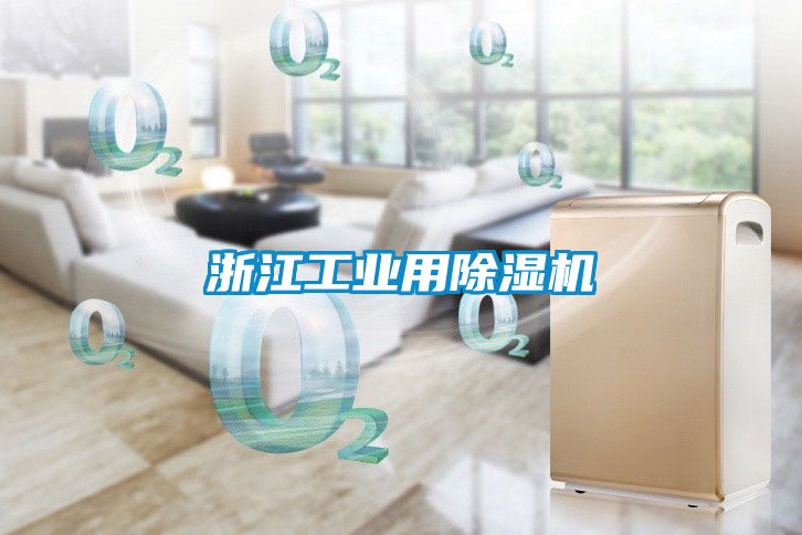 浙江工業用除濕機