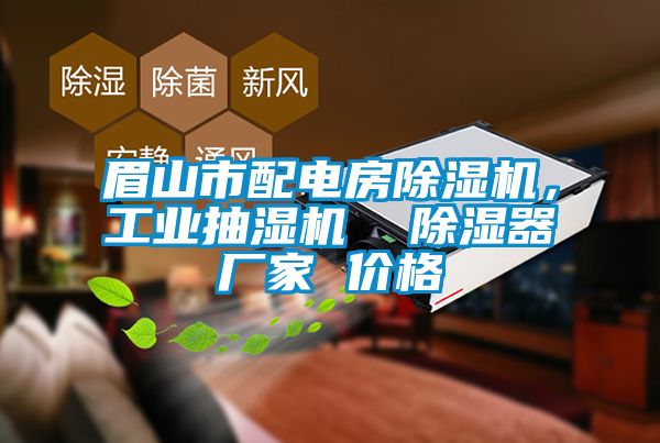 眉山市配電房除濕機，工業(yè)抽濕機  除濕器廠家 價格