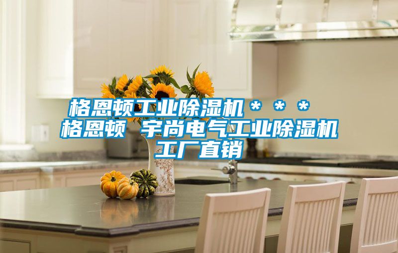 格恩頓工業(yè)除濕機＊＊＊ 格恩頓 宇尚電氣工業(yè)除濕機工廠直銷