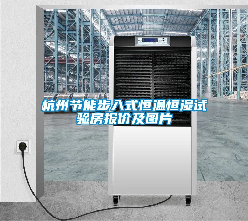 杭州節(jié)能步入式恒溫恒濕試驗房報價及圖片