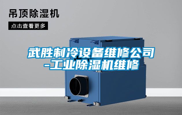 武勝制冷設(shè)備維修公司-工業(yè)除濕機(jī)維修