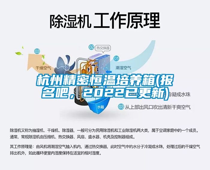 杭州精密恒溫培養(yǎng)箱(報(bào)名吧，2022已更新)