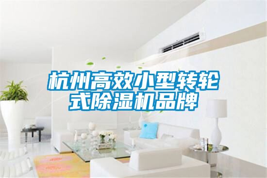 杭州高效小型轉(zhuǎn)輪式除濕機(jī)品牌