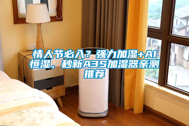 情人節必入？強力加濕+AI恒濕，秒新A3S加濕器親測推薦