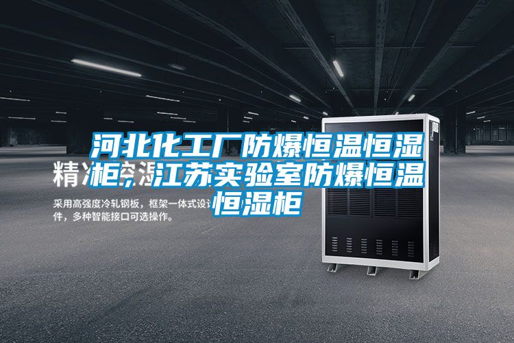 河北化工廠防爆恒溫恒濕柜，江蘇實(shí)驗(yàn)室防爆恒溫恒濕柜