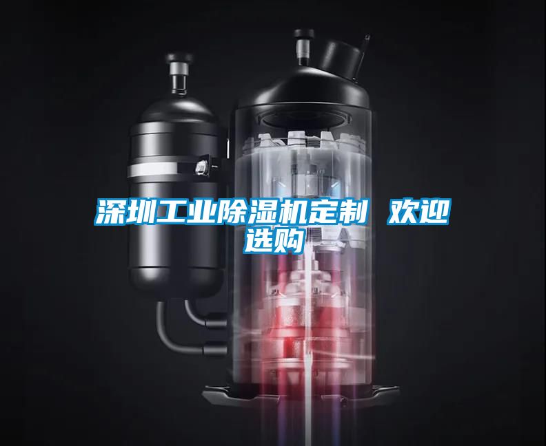 深圳工業(yè)除濕機(jī)定制 歡迎選購(gòu)
