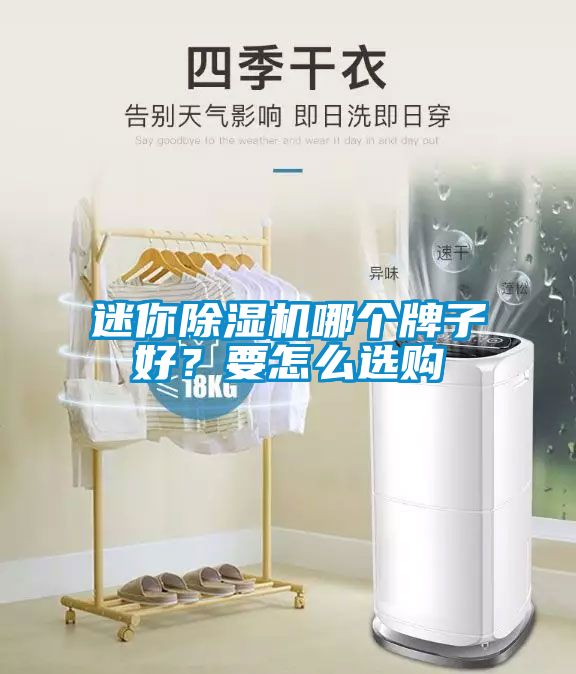 迷你除濕機(jī)哪個(gè)牌子好？要怎么選購(gòu)