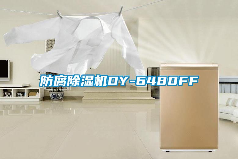 防腐除濕機(jī)DY-6480FF