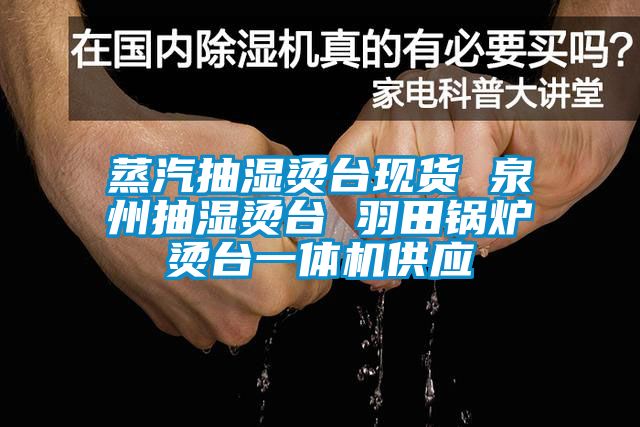 蒸汽抽濕燙臺(tái)現(xiàn)貨 泉州抽濕燙臺(tái) 羽田鍋爐燙臺(tái)一體機(jī)供應(yīng)