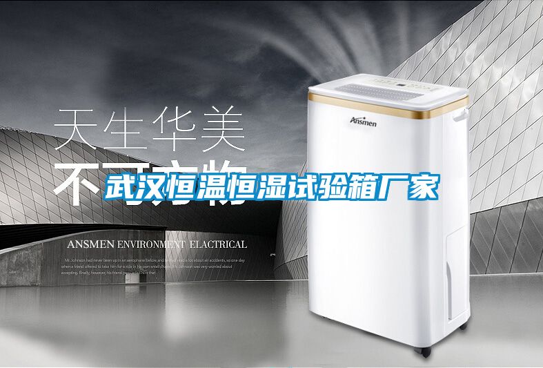 武漢恒溫恒濕試驗(yàn)箱廠家