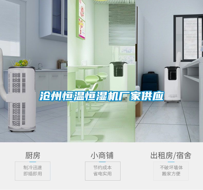 滄州恒溫恒濕機廠家供應
