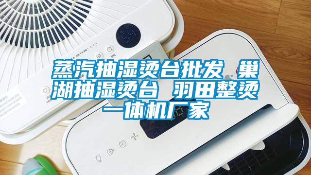 蒸汽抽濕燙臺(tái)批發(fā) 巢湖抽濕燙臺(tái) 羽田整燙一體機(jī)廠家