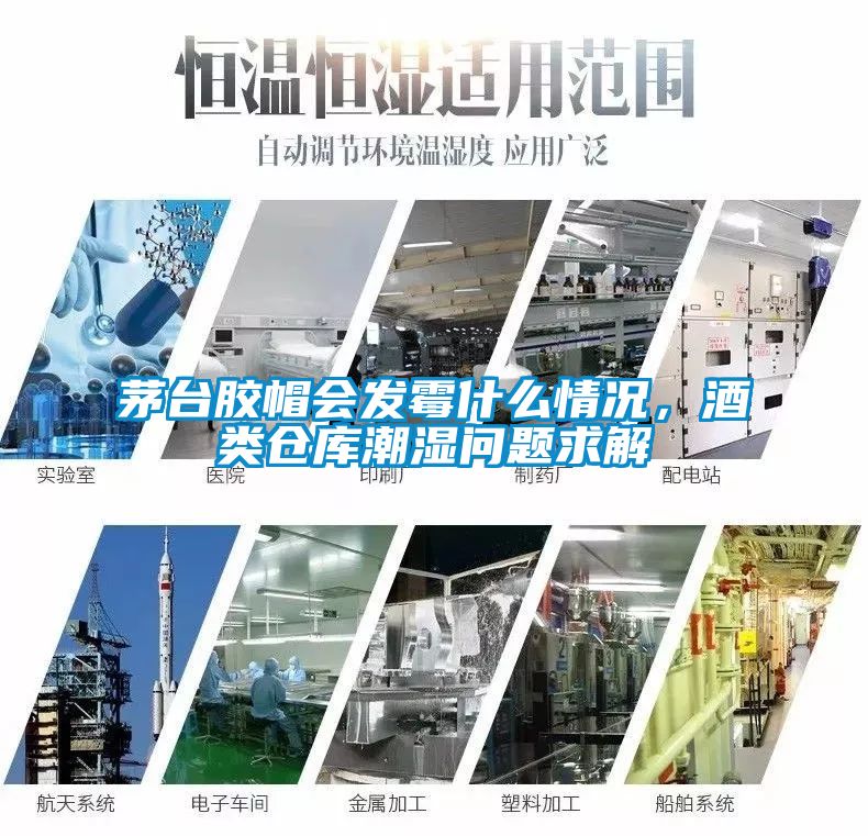 茅臺膠帽會發霉什么情況，酒類倉庫潮濕問題求解