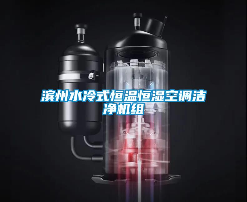 濱州水冷式恒溫恒濕空調潔凈機組