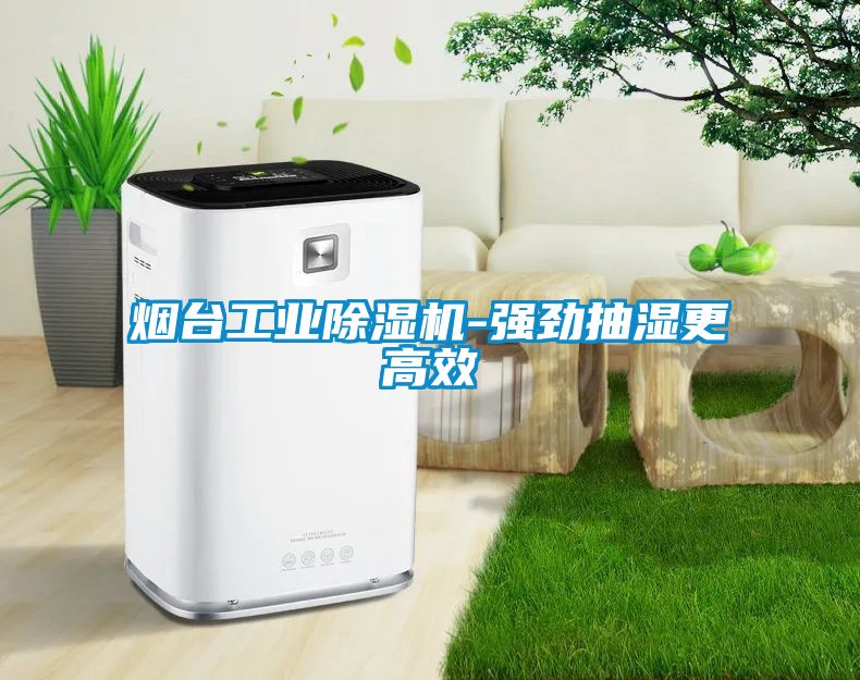 煙臺(tái)工業(yè)除濕機(jī)-強(qiáng)勁抽濕更高效