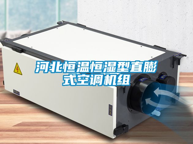 河北恒溫恒濕型直膨式空調(diào)機(jī)組