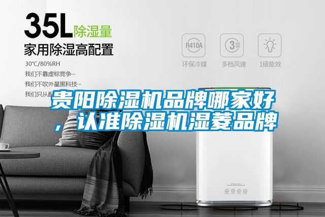 貴陽除濕機品牌哪家好，認準除濕機濕菱品牌