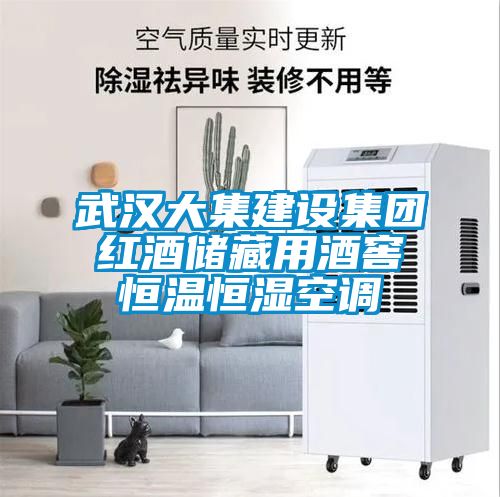 武漢大集建設(shè)集團(tuán)紅酒儲藏用酒窖恒溫恒濕空調(diào)