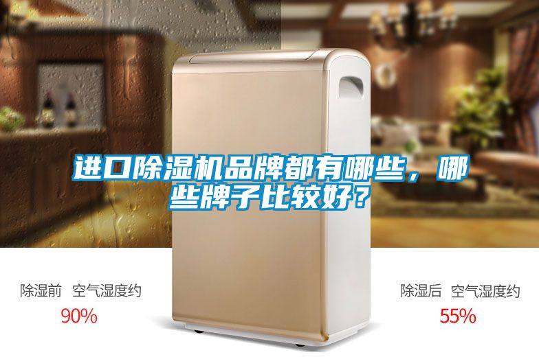 進(jìn)口除濕機(jī)品牌都有哪些，哪些牌子比較好？